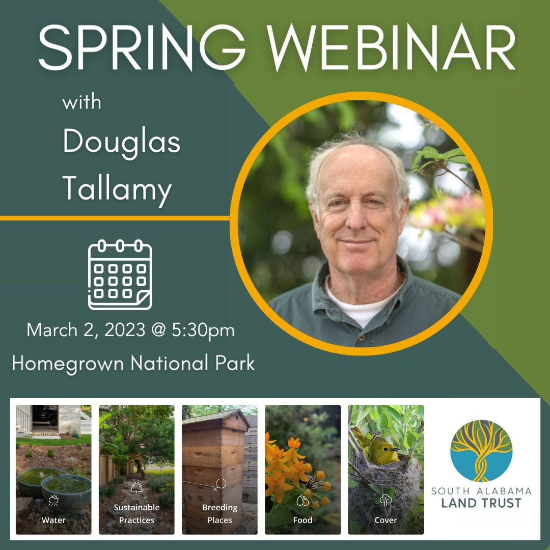 DeepSouthGREEN's tweet photo. If you missed SALT's webinar today at noon with Native Backyard Habitat expert Doug Tallamy, you have one more chance to listen in this afternoon at 5:30PM! Tallamy is the man behind the Homegrown National Park who's mission is to help restore biodiversity and natural habitats... https://t.co/OUDz6ARDcD