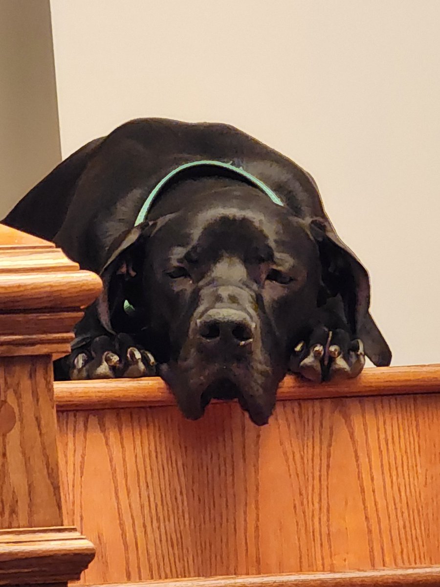 AGN PikaPika! tweet media