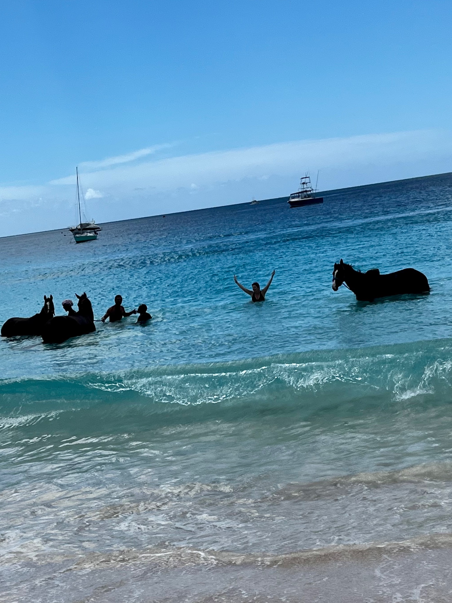 Nancy Holthus on Twitter "I crossed something off my bucket list while