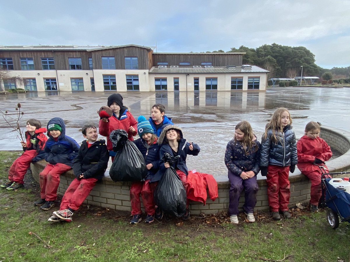 dpsforestschool tweet media