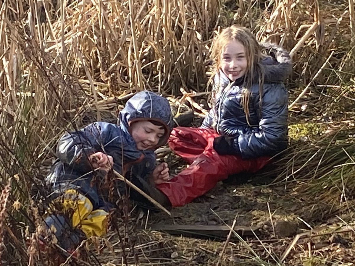 dpsforestschool tweet media