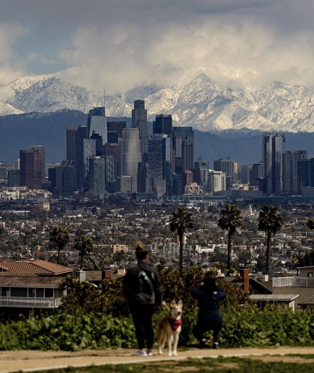 PplsCityCouncil's tweet image. LA right now