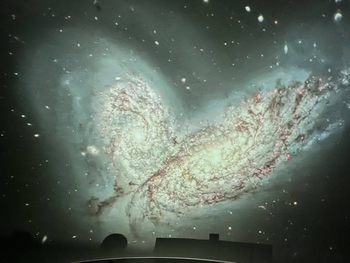 Leslie Yates tweet media