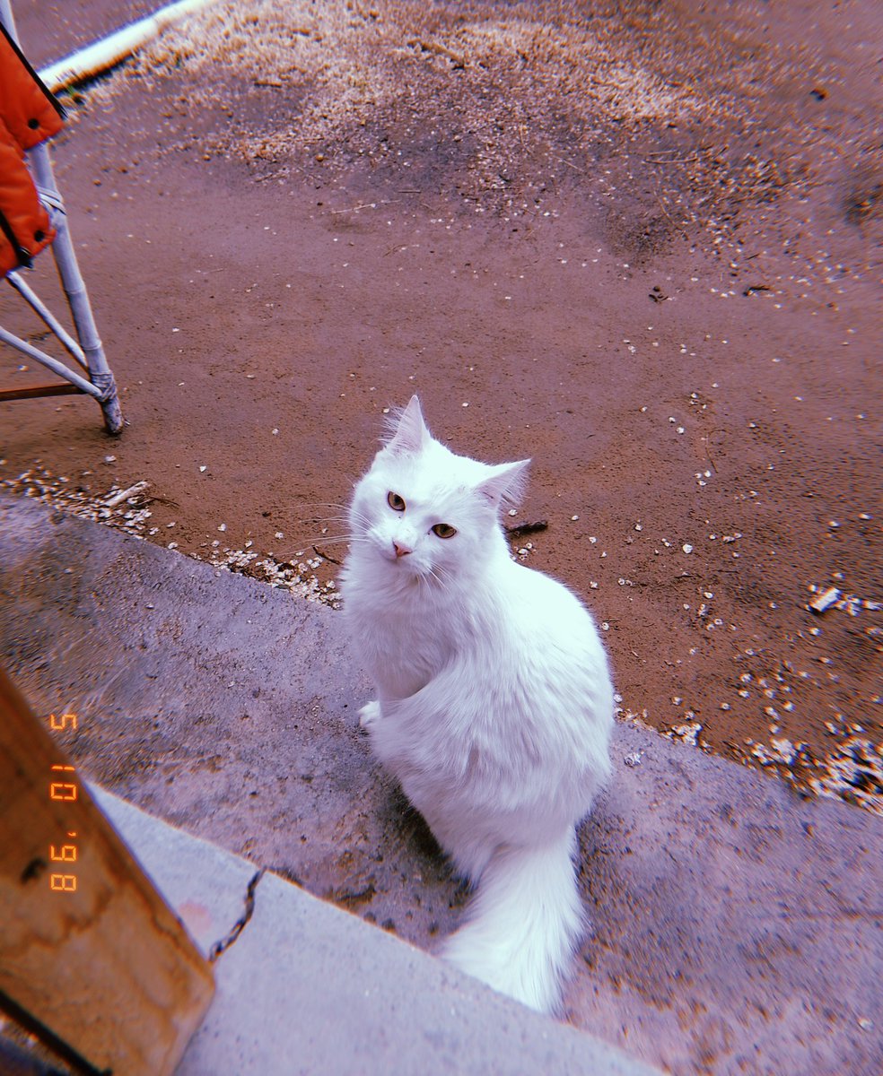 enamorada de mi hijo, Yuma ❤️‍🩹 🥺