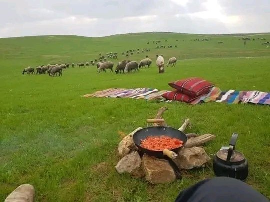 قال النبي ﷺ: 
"يُوشِكُ أنْ يَكونَ خَيْرَ مَالِ المُسْلِمِ غَنَمٌ يَتْبَعُ بهَا شَعَفَ الجِبَالِ ومَوَاقِعَ القَطْرِ، يَفِرُّ بدِينِهِ مِنَ الفِتَن".