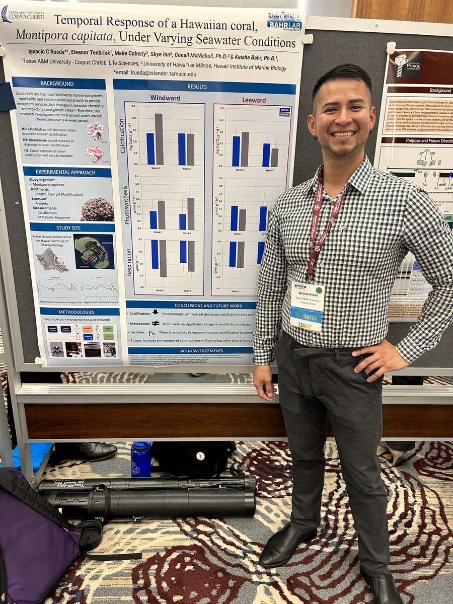 theBahrLab's tweet photo. Today UG researcher &amp; former REU scholar Ignacio #RaisedTheBahr presenting his poster at #TAMUSPathways @AggiesByTheSea @IslandCampus @lscitamucc 👏🏻🌟🪸 https://t.co/sSxZYZKr0G