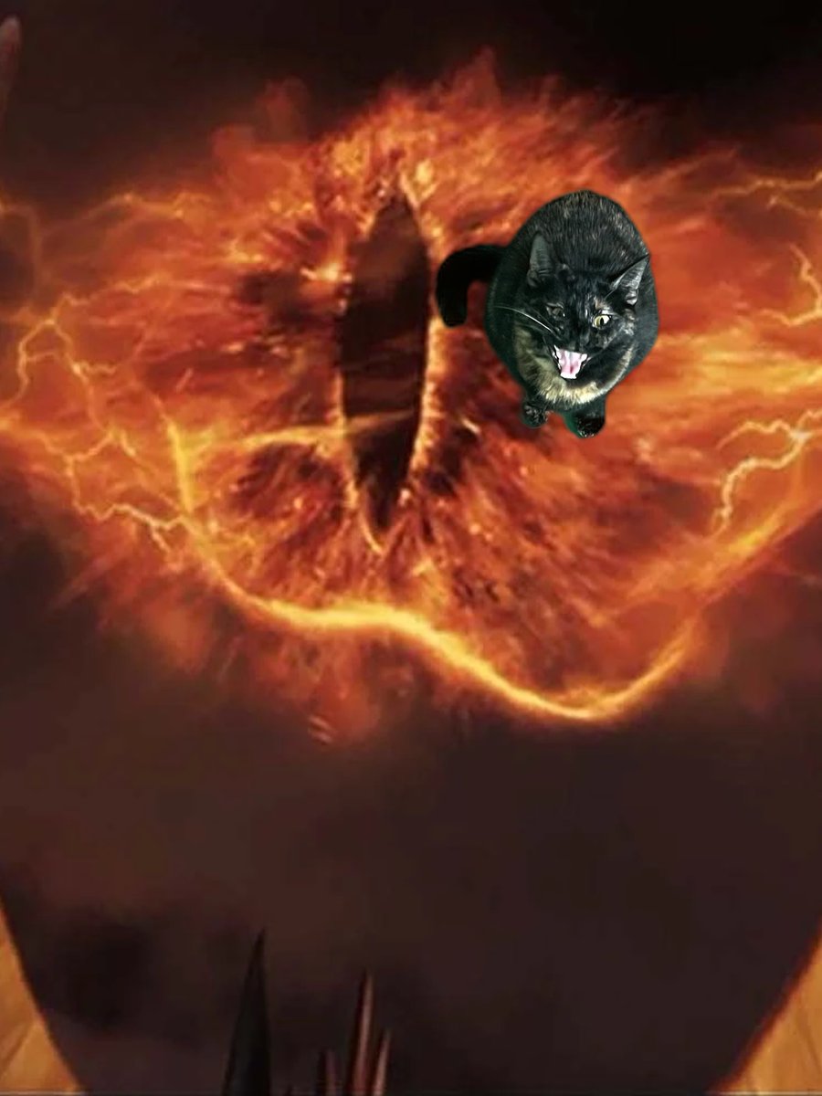 britobrien_'s tweet image. got a green screen :/