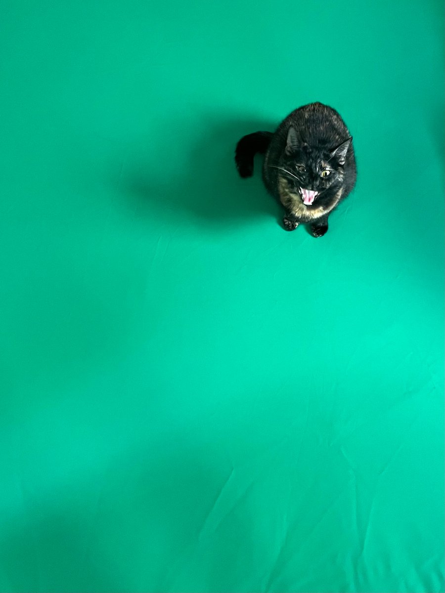 britobrien_'s tweet image. got a green screen :/