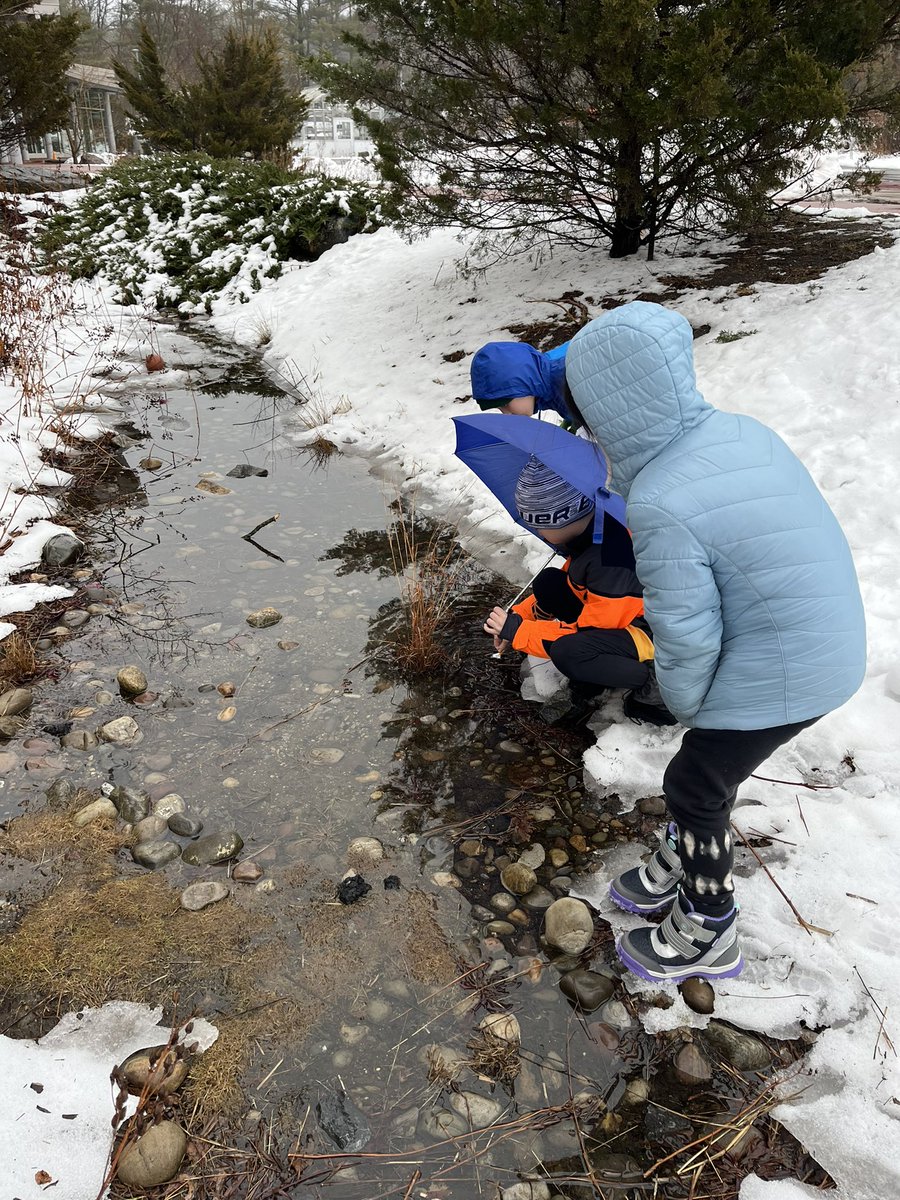 Big Backyard Program (@bbylexma) on Twitter photo Ms. Gordon’s 2nd grade class examines the different states of water during their big backyard walk today. So happy we have snow. #lexbby <a href="/lexingtonsuper/">Dr. Julie Hackett</a> <a href="/LexK5science/">karen mccarthy</a> #stateofmatter #ScienceK5 Ms. Gordon’s 2nd grade class examines the different states of water during their big backyard walk today. So happy we have snow. #lexbby <a href="/lexingtonsuper/">Dr. Julie Hackett</a> <a href="/LexK5science/">karen mccarthy</a> #stateofmatter #ScienceK5