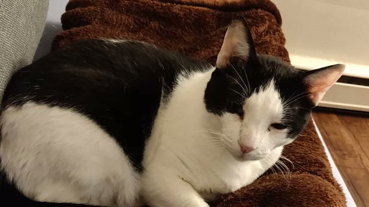 Tommy is in pain
gofundme.com/f/uzvzze-tommy…