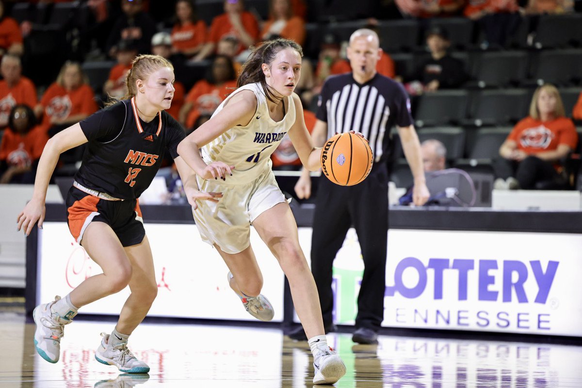 ActionPixTN tweet media