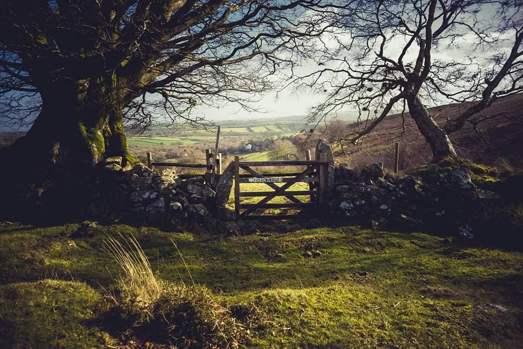 GlavindStrachan's tweet photo. #Dartmoor #Gates - a series of images from the last few years 😍 #Dartmoorphotography #Dartmoorphotographer #DevonGates #DevonLandscapes https://t.co/wWrfTxbdhG https://t.co/wg6mT22dsL