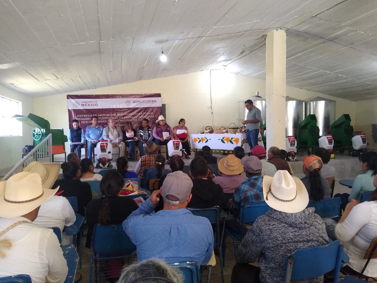 agricultura_hg's tweet photo. Con inversión de aproximadamente 660 mil pesos, se busca apoyar más de 22 productores de maíz nativo de 2 localidades de Acaxochitlán #Hidalgo, en el Proyecto Estratégico “Desarrollo Territorial en los Pueblos Indígenas que custodian Maíces Nativos en México”  #ElCampoNoSeDetiene https://t.co/DTTMHQQh20