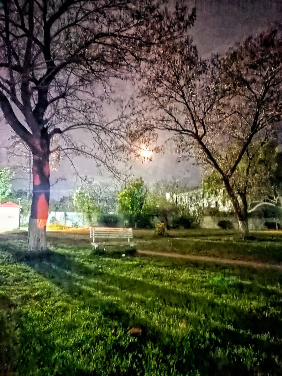 Fatimatariq0808's tweet photo. A peaceful picture taken on a chaotic night 28Feb-2023. I hope everything gets better and we could go back to our home, QAU. I hope we all actually act like quaidianz who are all about harmony, love, peace and stay united regardless of ANY differences.
#saveQAU #lastclick https://t.co/b8rU5H0tcP