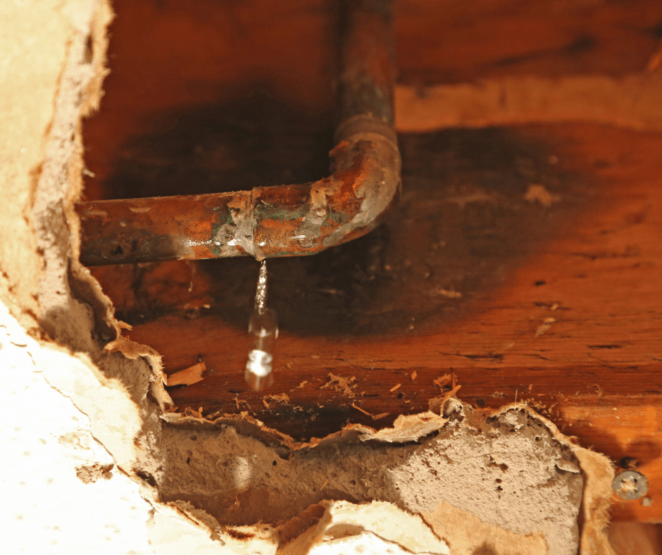 Hidden water damage can wreak havoc on your home and your health! 

Check out our latest blog on how to spot hidden water leaks in your home!

escarosacleaningandrestoration.com/how-to-spot-si…

#hiddenleaks #waterdamage #leakypipes @applianceleaks #restorationcompany #mold #pensacola