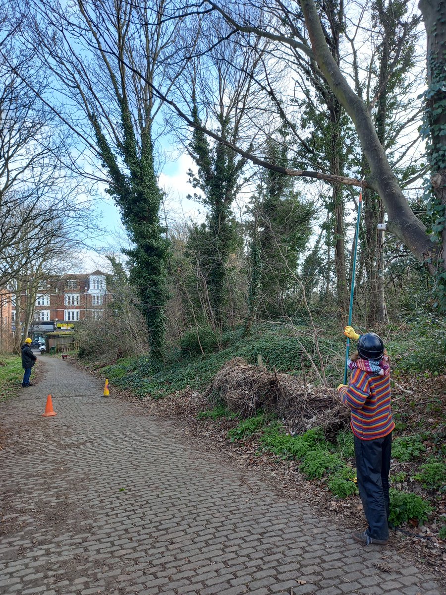 Very productive day at Railway Fields.. #tree planting, tree #felling, #hedgelaying, #glade clearing, #litter picking and #deadhedging. Pheww.. #rest #time #volunteers! #urban #nature #N4 #Haringey cs