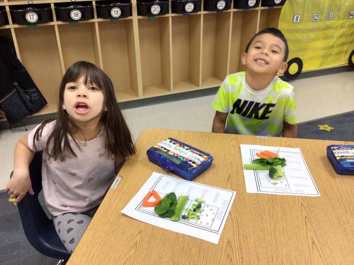 shaferkdgrocks's tweet photo. Eating the parts of a plant…I think we are all excited!? “May I have some more leaves and roots please?” ⁦@Buffaloes_SMSD⁩ https://t.co/4IF6V1BMGW