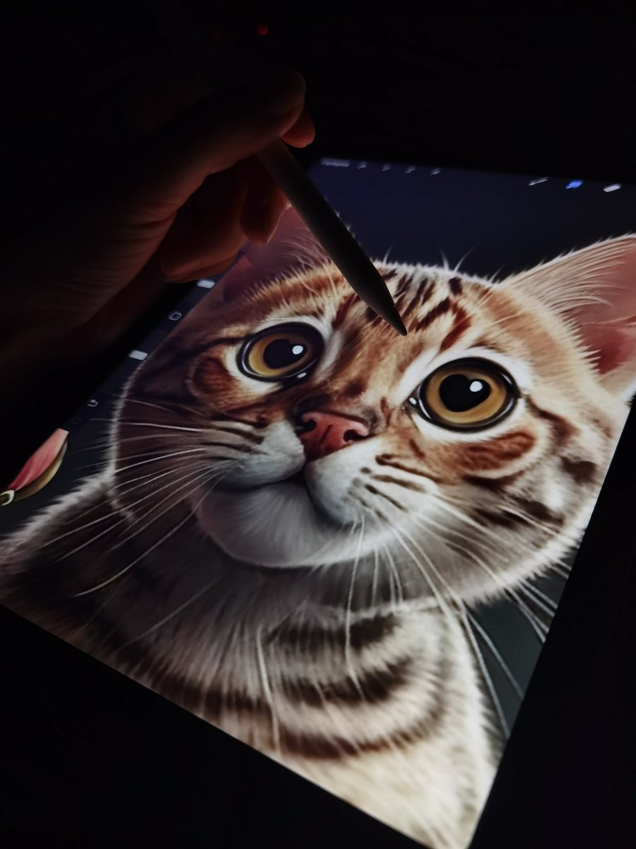 Drawing cats while my dogs don't see 😹

Good night 🌙