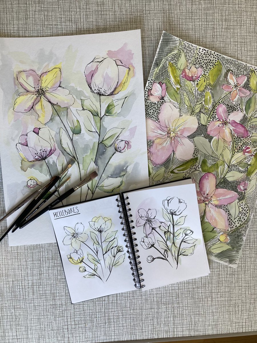 pbb_studio's tweet photo. Watercolour hellebores flowers. Just playing with colour and doodles today. 

#watercolourflowers #watercolorflowers #aquarelle #britishartist #polskaartystka #hellebores #florals #ArtistOnTwitter #WomensArt https://t.co/A8rk6g7xah