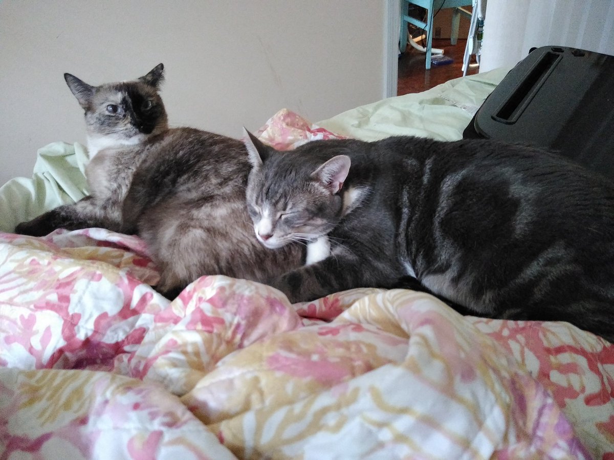 I call this moment in history" fool stop sleeping on my ass"