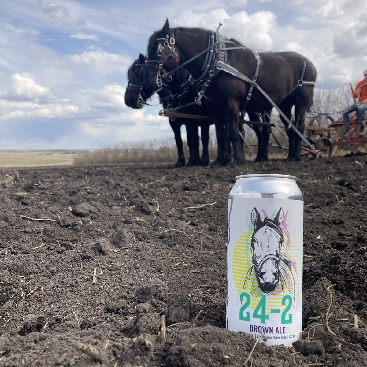 blindmanbrewery's tweet photo. NEW RELEASES  - 24-2 Brown Ale and Barrel-Aged Brett Stock Ale

2 beers that highlight our love for the work we do and the places we live. In a  very Canadian-British endeavour, we combine traditional styles with hyper-local ingredients and a whole lot of hard work. https://t.co/A82HStmbAp