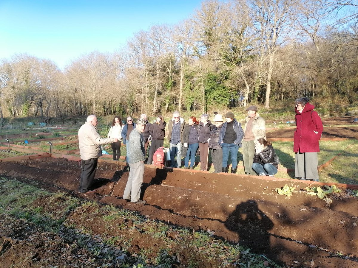 depulugo's tweet photo. 🥬 Seguimos coas actividades de formación nos hortos urbanos do Rato!
👩🌾 Hoxe aprendemos algo máis sobre o cultivo de coles, repolos e espárragos nestas terras que forman parte da Reserva da Biosfera Terras do Miño
#reservabiosfera #ReservadelaBiosfera #programamab https://t.co/NmL80AvxaR