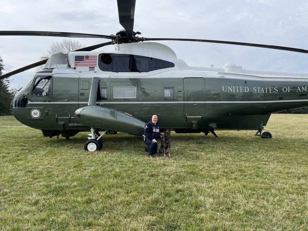 K9Reid's tweet photo. Just another average day https://t.co/N6beirA5UJ