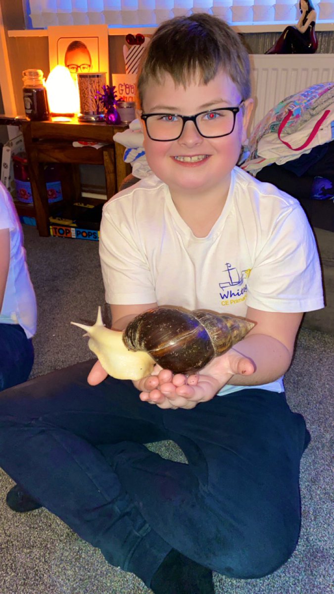 clairemacca30's tweet photo. @SchoolWhitegate Wim and Freddie 🐌 https://t.co/bWkVRj3CkD