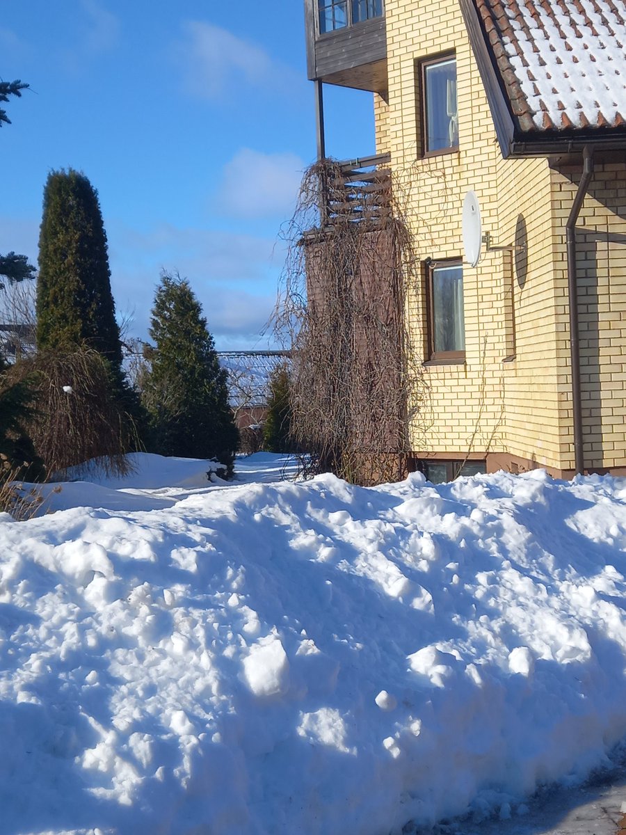 komako66's tweet image. marta pirmās dienas - saule un sniegs, sniegs, sniegs...#pavasaris