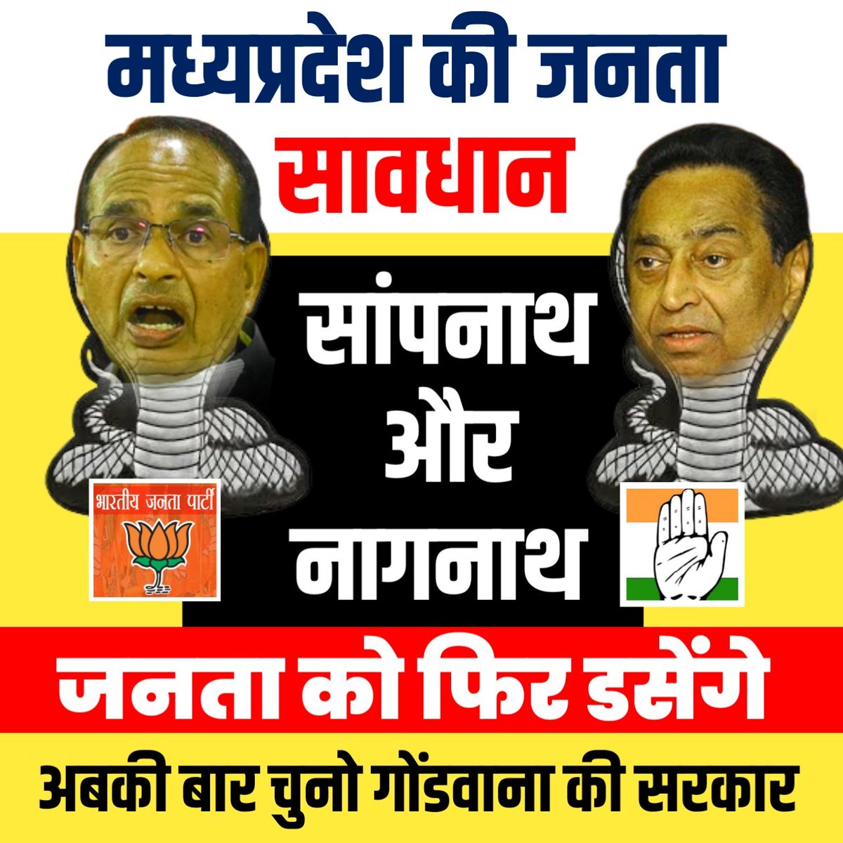 सांपनाथ और नागनाथ एक ही कुनबे के फनकार है