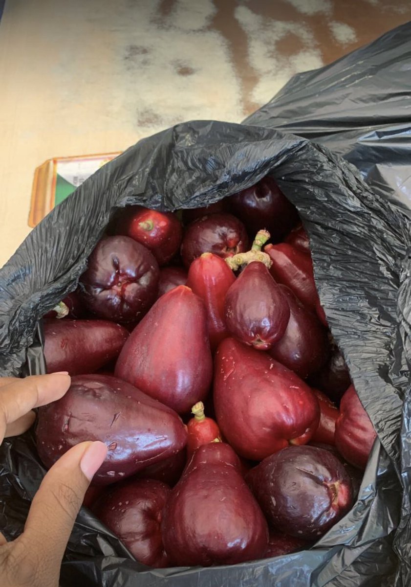 Erika Araújo tweet media