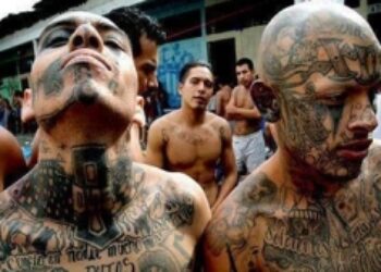 DANTE_eloficial's tweet photo. Sondeo Tuitero 

🇸🇻 Cree usted que los pandilleros miembros de las Maras en El Salvador son: 

Criminales satánicos: 🔄
Jovencitos indefensos: ♥️

(Bukele los enfrenta, Petro los defiende) https://t.co/SiojvxldKV