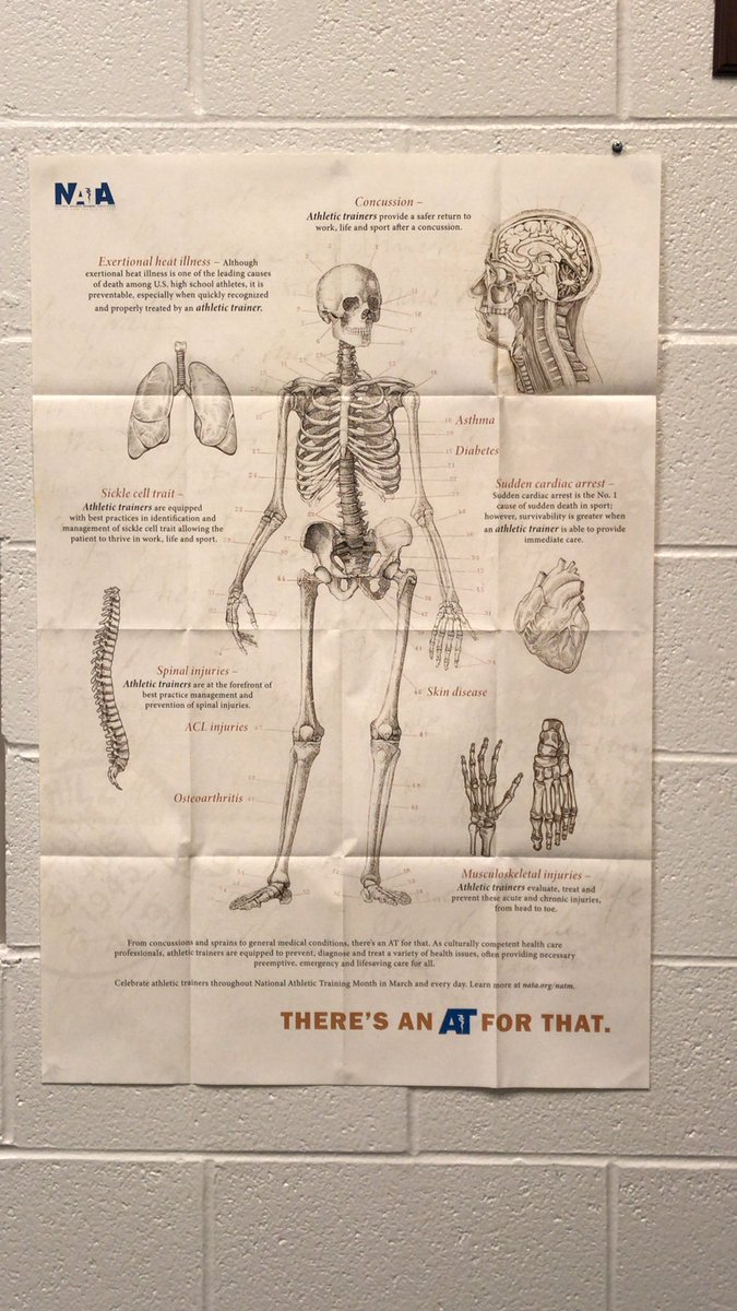 Happy NATM! 
Heat illness at cross country? Skin condition at wrestling? Arm overuse at baseball?
There’s an AT for that! 🩼🩹🩻
@Coldwater_AT @FtRecovery_AT @StHenry_AT @MarionLocal_AT