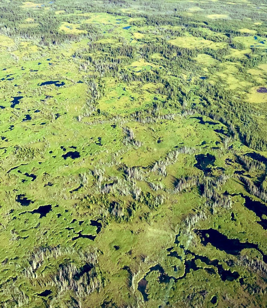 queenofpeat's tweet photo. Peat in bogs = climate solution
Peat in bags = climate nightmare 

Beauty  ✅                  Boo  🚫 https://t.co/twSHvar7zN
