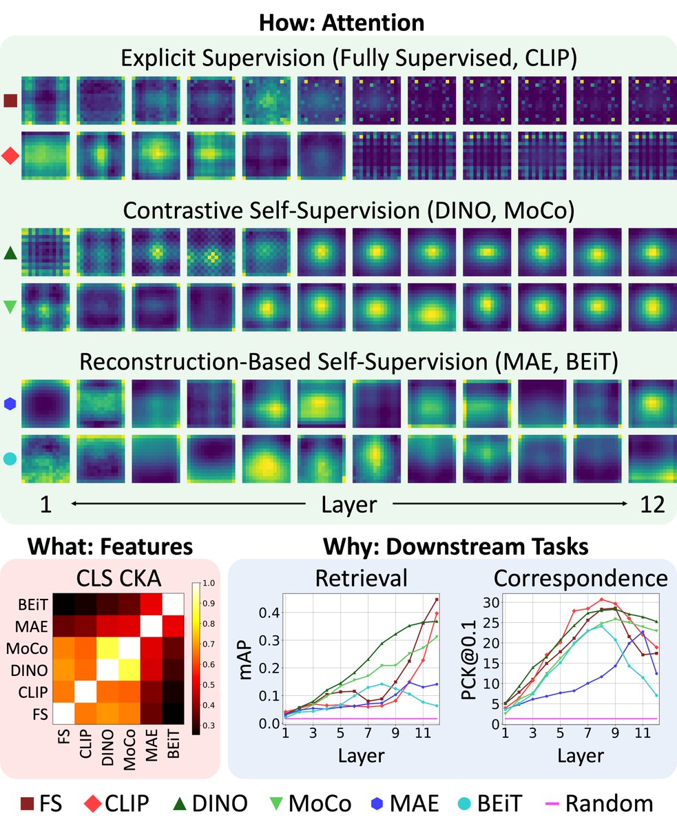 Saksham Suri (@_sakshams_) on Twitter photo Excited to share our work "Teaching Matters: Investigating the Role of Supervision in Vision Transformers" which has been accepted to #CVPR2023!
Work done with: <a href="/MatthewWalmer/">Matthew Walmer</a>, <a href="/kamalgupta09/">Kamal Gupta</a> and <a href="/abhi2610/">Abhinav Shrivastava</a>
Website: cs.umd.edu/~sakshams/vit_…
Code: github.com/mwalmer-umd/vi… Excited to share our work "Teaching Matters: Investigating the Role of Supervision in Vision Transformers" which has been accepted to #CVPR2023!
Work done with: <a href="/MatthewWalmer/">Matthew Walmer</a>, <a href="/kamalgupta09/">Kamal Gupta</a> and <a href="/abhi2610/">Abhinav Shrivastava</a>
Website: cs.umd.edu/~sakshams/vit_…
Code: github.com/mwalmer-umd/vi…