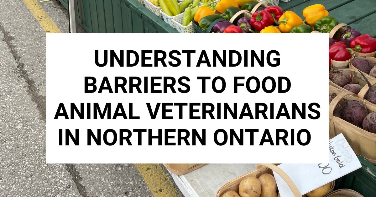 RPDplan's tweet photo. Minerva Cancilla-Styles shares her research on "Understanding Barriers to Food Animal Veterinarians in Northern Ontario: Findings and Next Steps" At the Rural Symposium

#RuralSym23 #RuralGuelph @OMAFRA @AgInnovationON @SEDRD https://t.co/jw7PzCbzJp