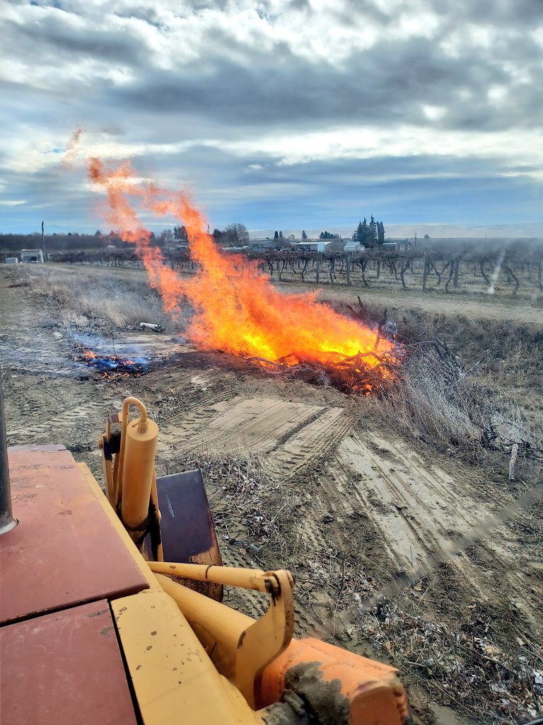 DSmasne's tweet photo. >>>--->#WickedFire https://t.co/HiewL4noxV