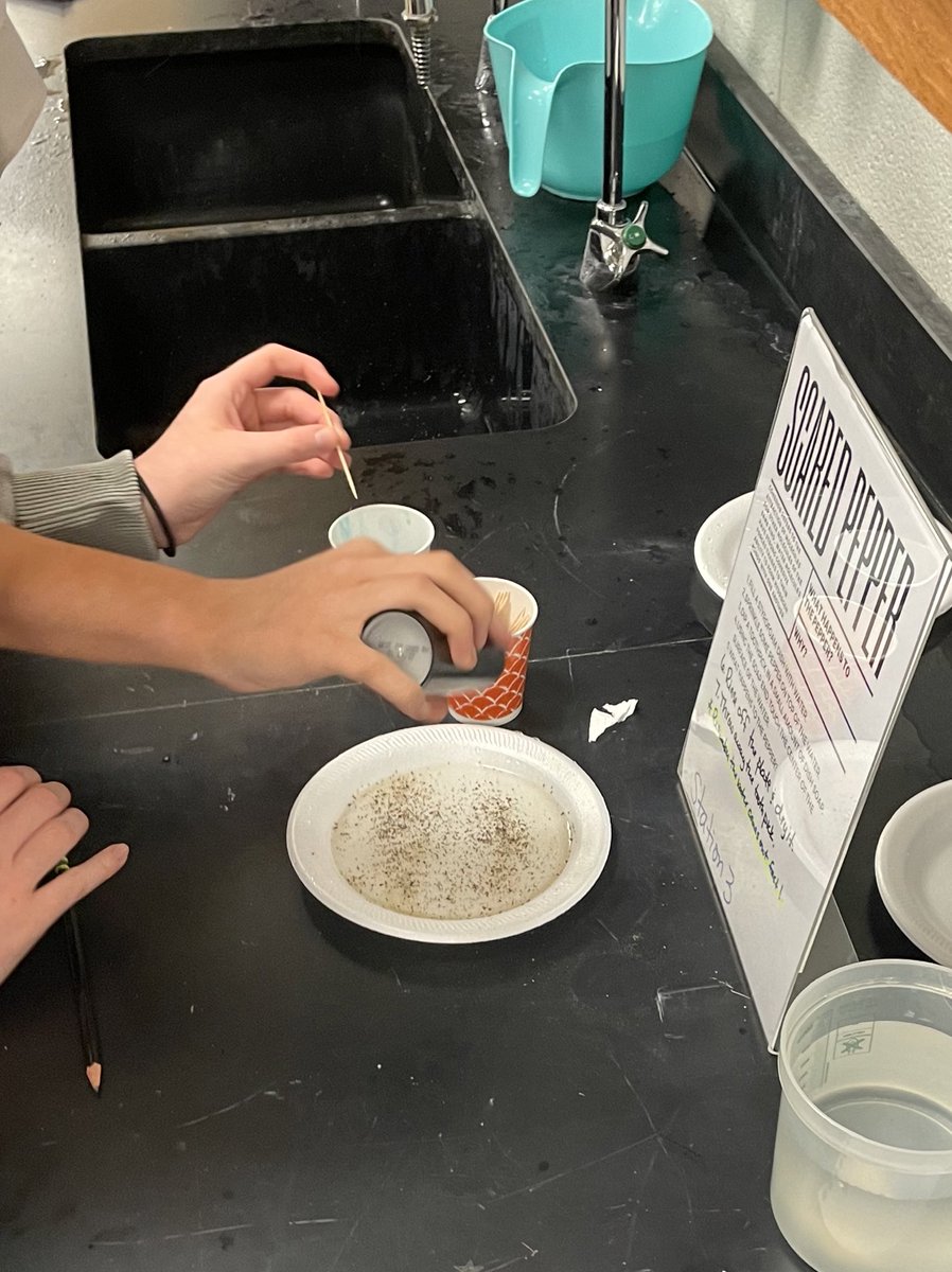 mlmtxag02's tweet photo. Looking at IMF’s, cohesion and surface tension in Chem 1 today @HumbleISD_KPHS @Humble_2ndSci https://t.co/tQaO5L0zwE