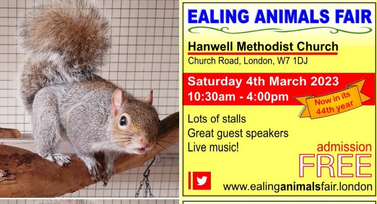HAVE YOU HEARD? Urban Squirrels  are standing up for the grey friends at Ealing Animal Fair this Saturday! Come and visit our stall if you can! ❤🐿 (Special invitation from April 😃).