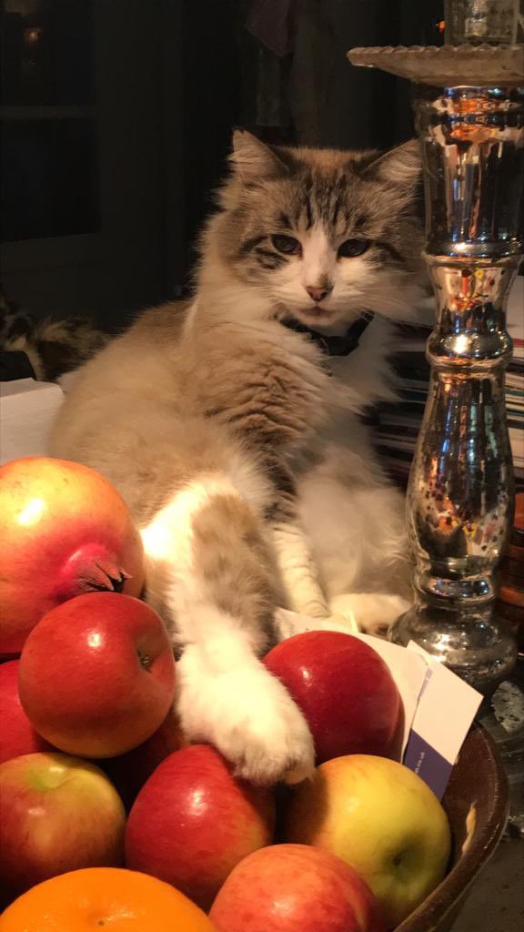 Marc Allum tweet media