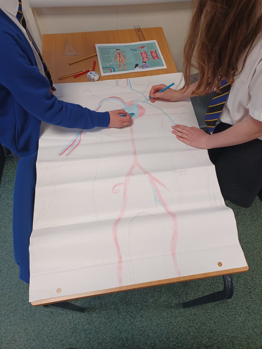 DeltaWorlaby's tweet photo. Dassu Class are learning about the Circulatory System in Science. This week they collaborated in trios to demonstrate their understanding of veins and arteries. This activity prompted the children to participate in purposeful and investigative discussions. #WorlabyScience https://t.co/lcehqmSKsz