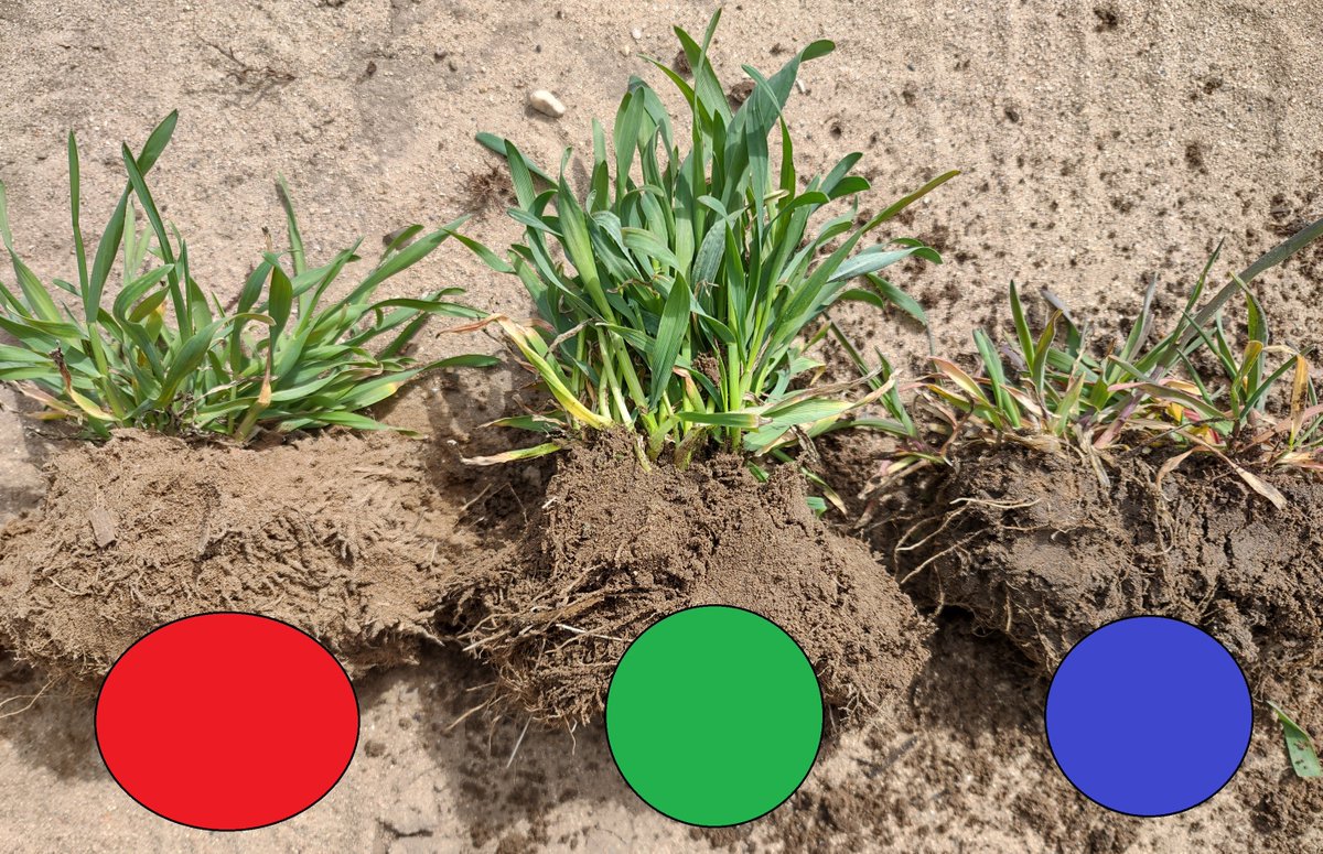 michaeldunnCCA's tweet photo. If you don't manage #soil variability, it will be sure to manage your crops for you
Soils from the same field, zones mapped at high resolution with #SMART4D
#thinkoutsidethebox
#PrecisionAg https://t.co/RO6qvTDkTu
