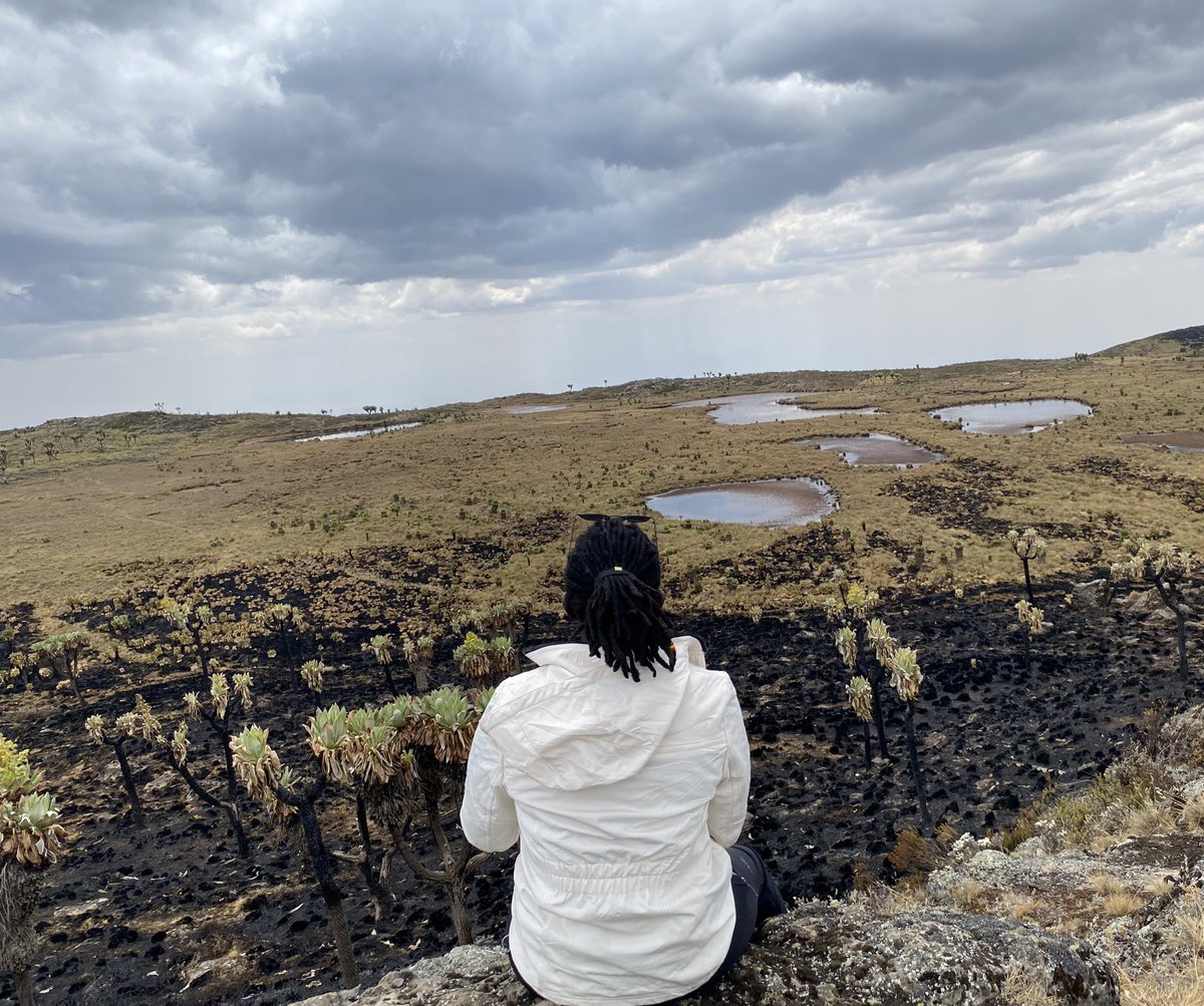 Quinter_Odongo's tweet image. In more ways than one, take the time to stop for a bit. Breathe, reflect and admire the view and appreciate what you’ve done and how you got there........

📍 Seven Ponds , Aberdare Range

#hiker #naturelovers #naturetherapy #wanderer #outdoors