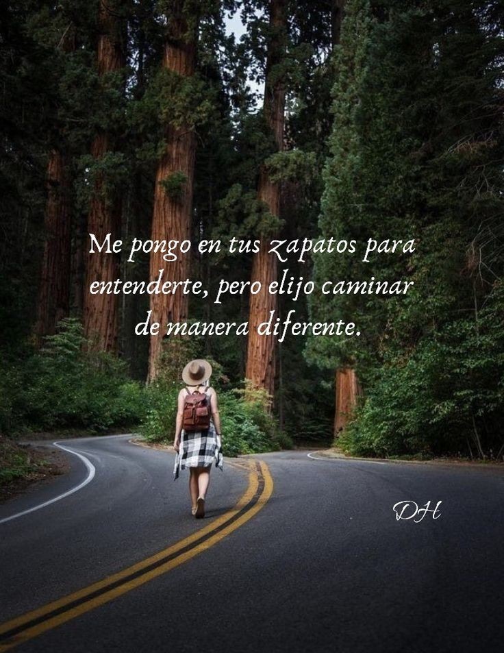 Elige tu propio camino 😉