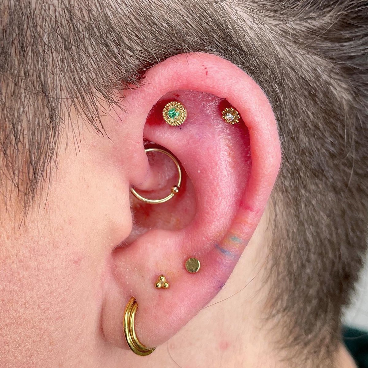 Fresh three piece. Faux rook, daith, and third lobe piercing drenched in yellow gold. #safepiercing #curatedear