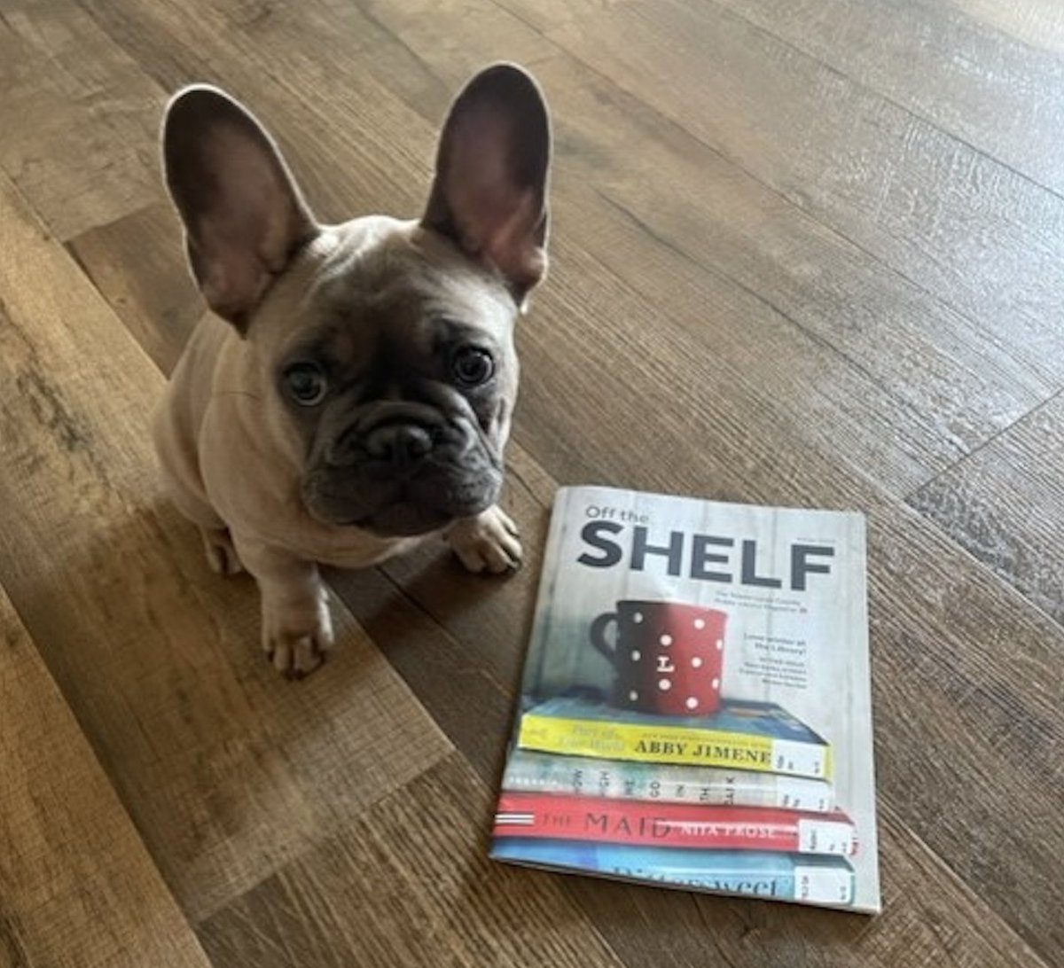 Have you heard? The lastest issue of our magazine - Off the Shelf - is the 🐾PAW-fect🐾 way to learn about all the Library has to offer! View it right now ➡️ toledolibrary.org/off-the-shelf-…