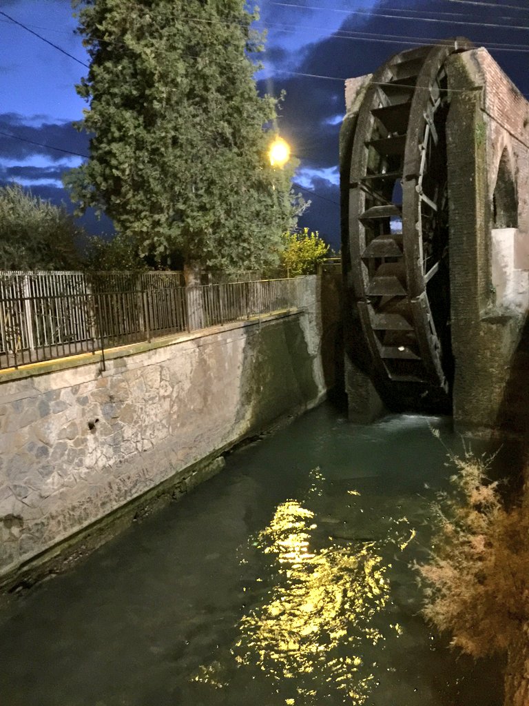 🍋 Este enorme ciprés🌲, compañero de la Rueda de La Ñora durante tantos años, tiene las horas contadas.🆘️

Lo van a talar si nadie lo remedia.😟

Rogamos🙏se reconsidere esta decisión y se encuentre una solución que salve al árbol. No es tarde.

¿Nos ayudas a darle difusión?💚