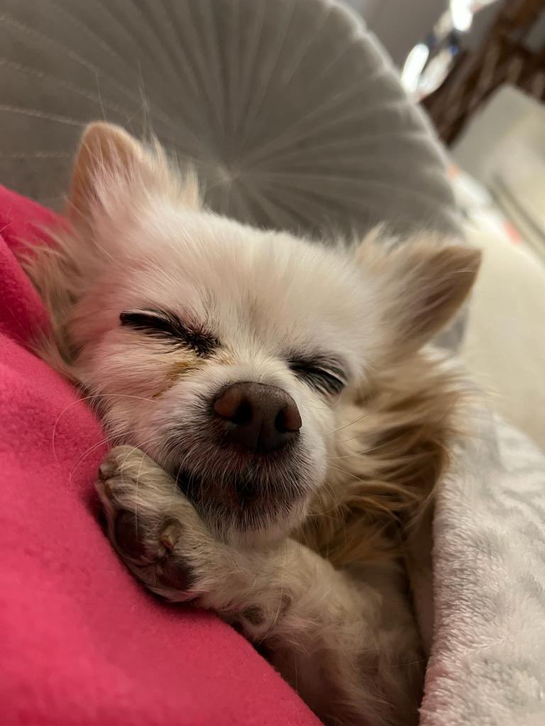 ||||Padre Ebro|||| tweet media