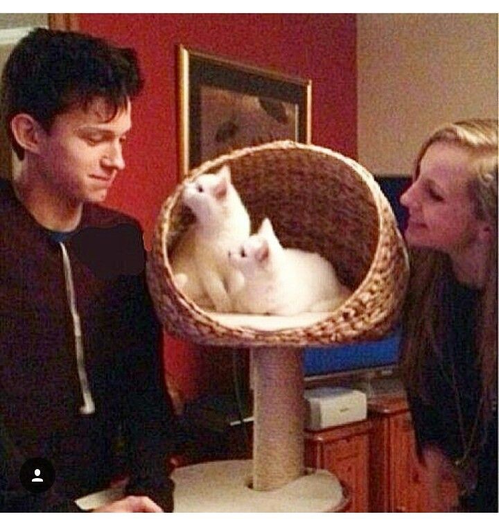 Los podemos adoptar?