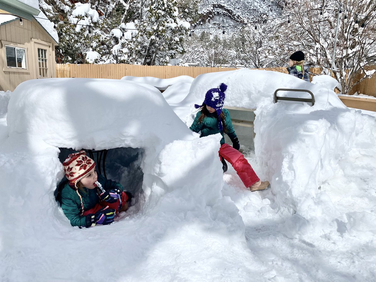 Paul Deasy tweet media